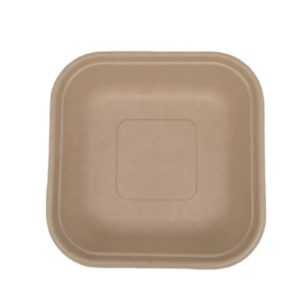 One Compartment Square Tray / Sugarcane Food Items