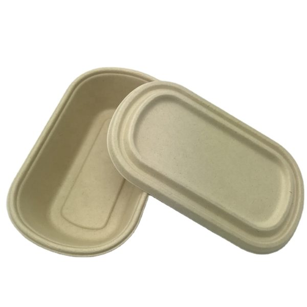 One Compartment Take away Box 500 ml / takeaway containers