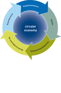 What is a circular economy? and how does it help?