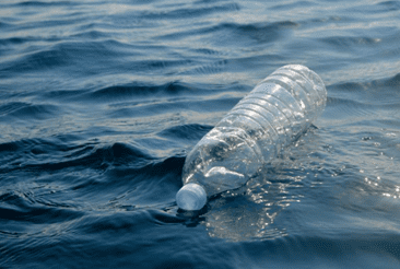 Plastic water bottle floating in the ocean 