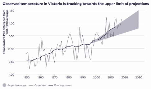 Graph: Observed temperature in Victoria in tacking towards the upper limit of projections.