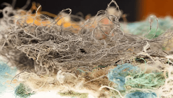 Maritime rope can be a major source of microplastic contamination