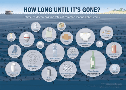 Bacteria the Solution for the Plastic Pollution crisis?