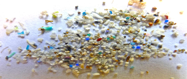 Microplastics threaten the health of animals, plants and oceans.