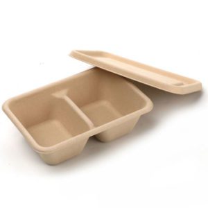 Takeaway Box 2-Compartment / Takeaway Container