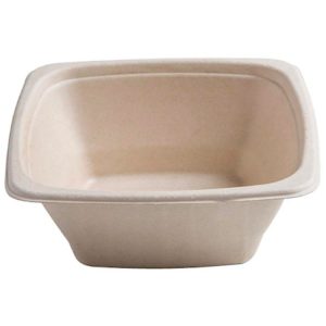 Bio Plastic Food Container