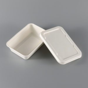 6-Compartment Tray / Biodegradable Food Packaging