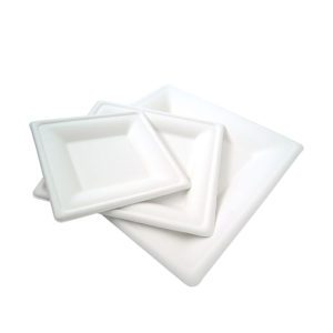 Sugarcane Plates / Sugarcane Plates