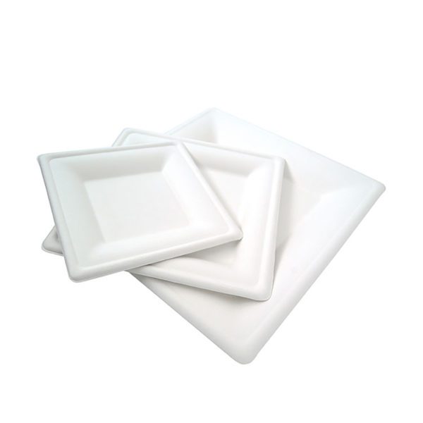 Sugarcane Plates / 10″ Square Plate / Food Items