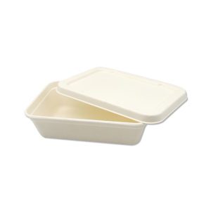 Sugarcane Tray / disposable food containers