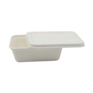 Sugarcane Tray / Food Container