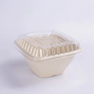 PET Lid for Square Bowl