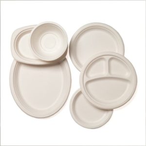 Biodegradable Bagasse Products