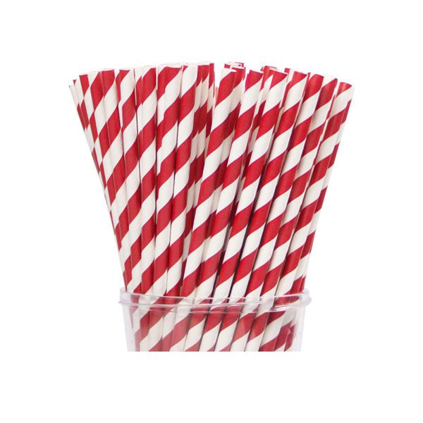 Flexible Paper Straws / Striped