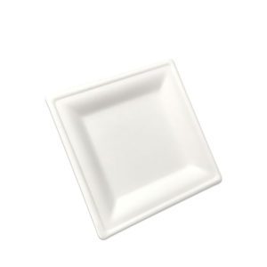 Sugarcane Plates / Food Items 6″ Square Plate